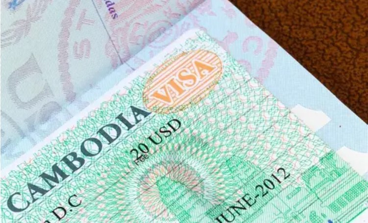 CAMBODIA VISA STATUS CHECKER TOOL